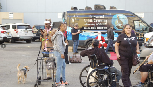 hollywoodmobilegrooming in action