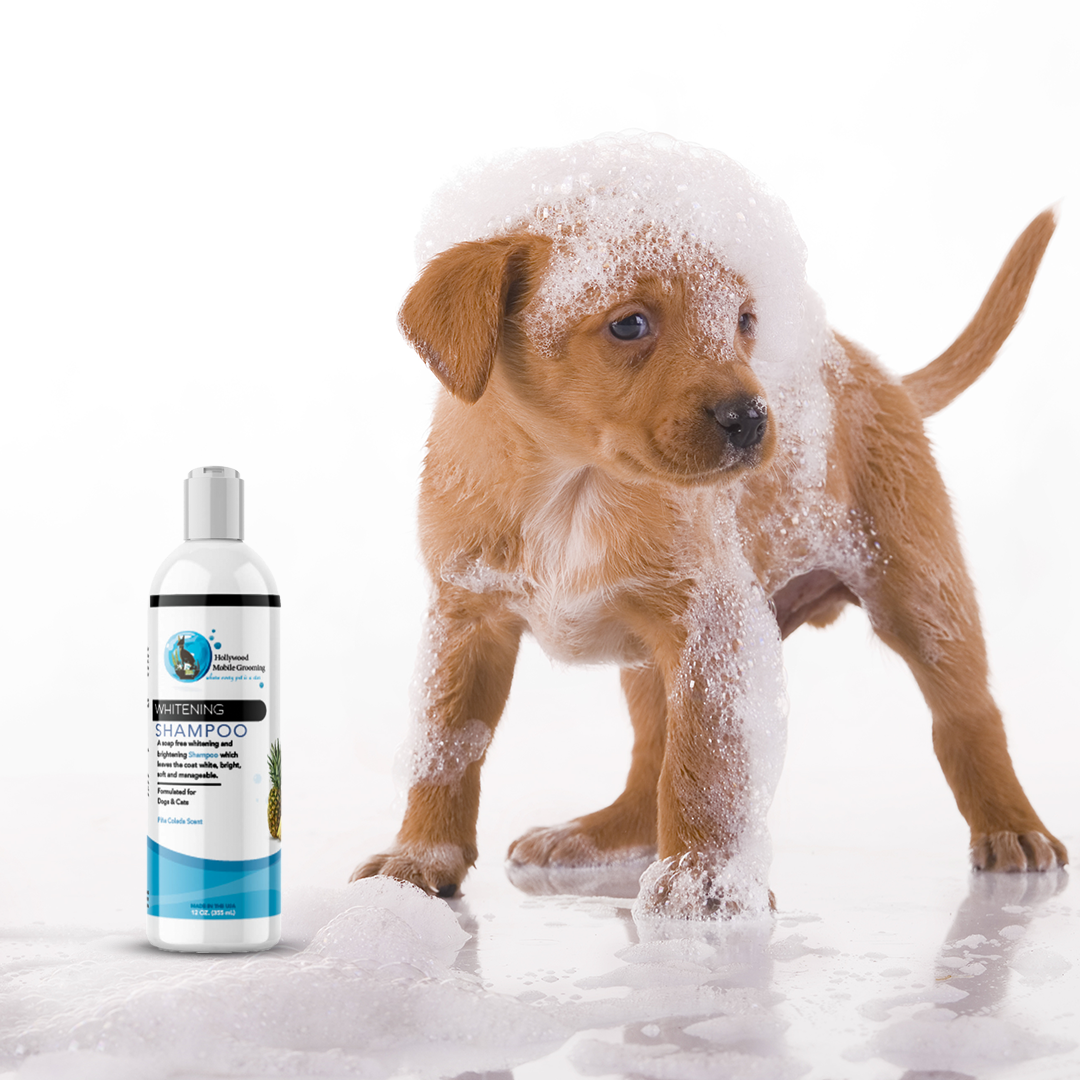 Whitening Pina Colada Shampoo