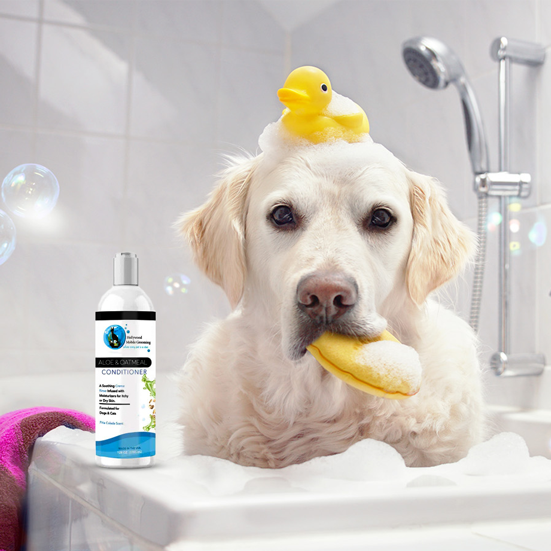 Aloe & Oatmeal Conditioner