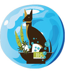 Hollywood Mobile Grooming where each pet is a Star