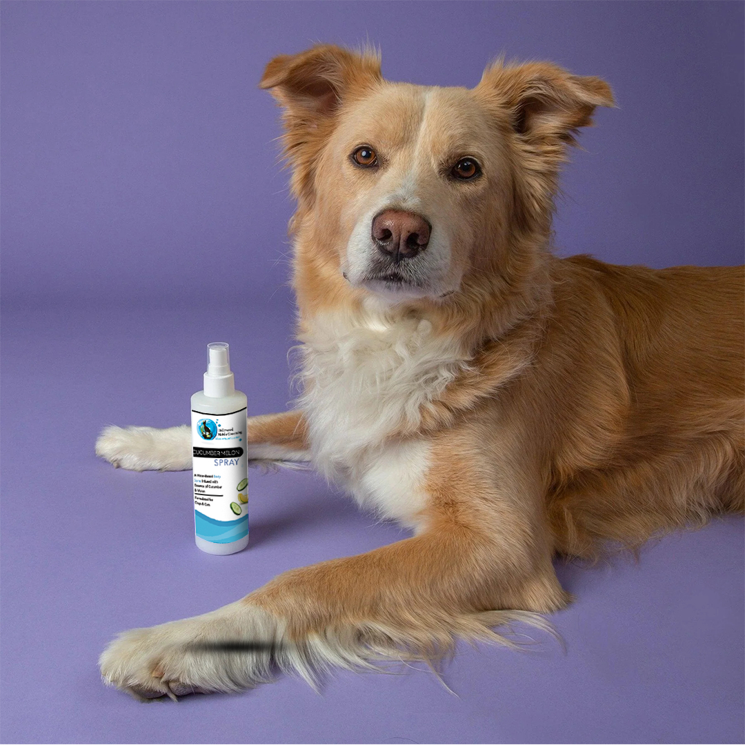Natural Cucumber and Melon Pet Spray