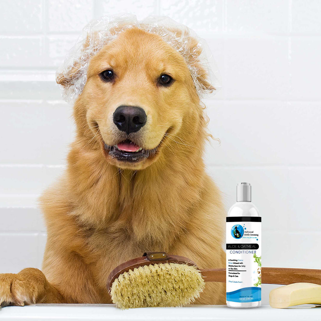 Aloe & Oatmeal Conditioner