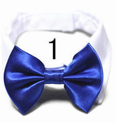 Mini Bow ties for pets