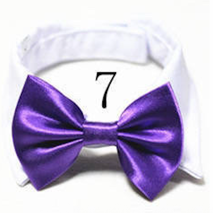 Mini Bow ties for pets
