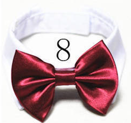 Mini Bow ties for pets