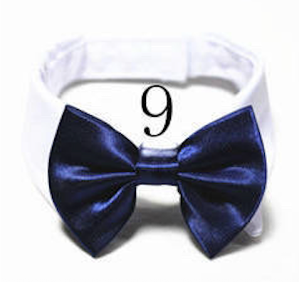 Mini Bow ties for pets