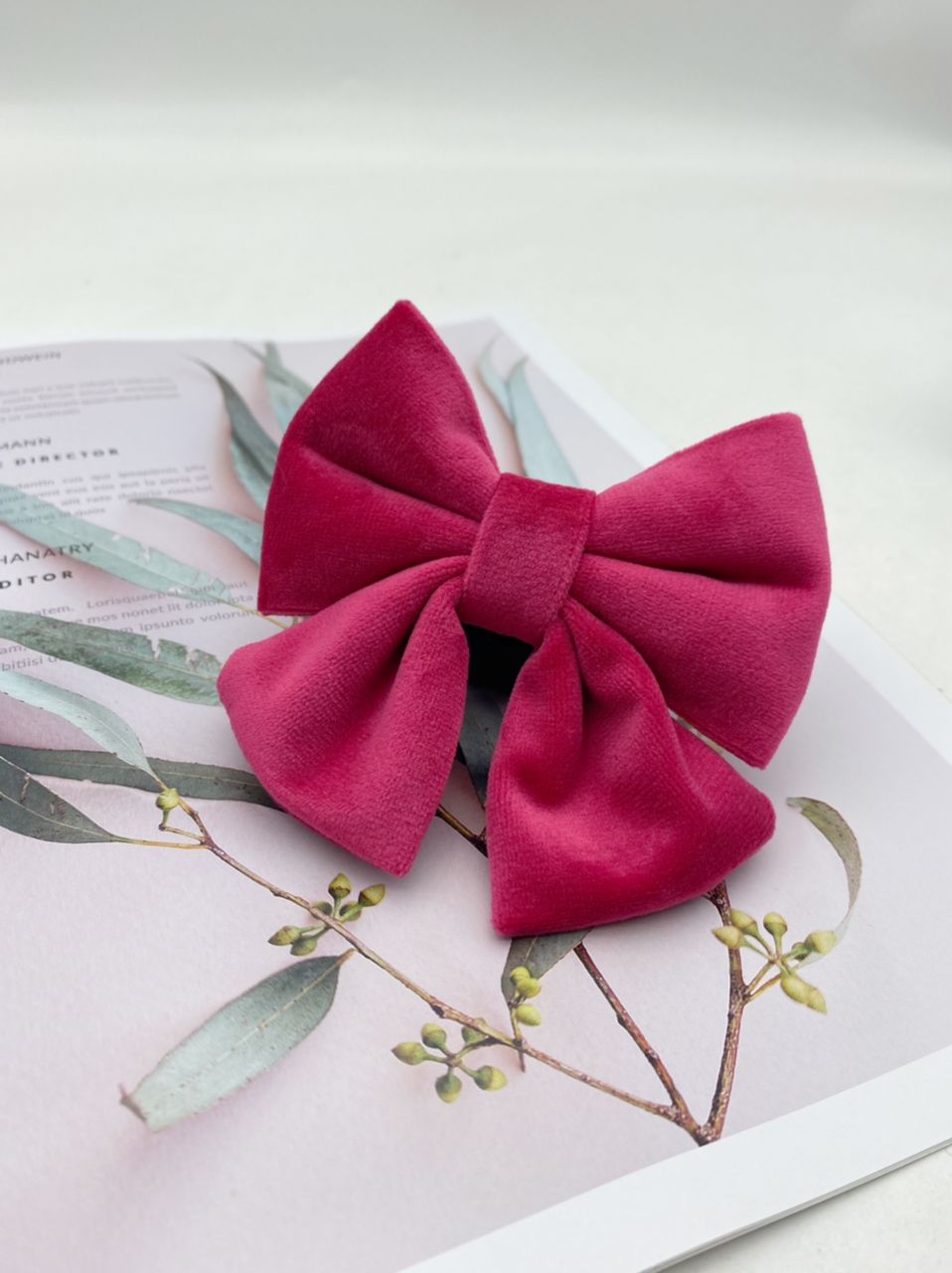 Pet Bowtie Accessories