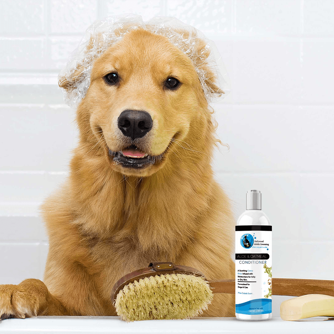 Hollywood Grooming Moisturizing Aloe & Oatmeal Cream Rinse/ Conditioner 16 Oz - Go Hollywood Grooming