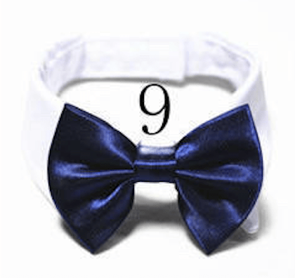 Mini Bow ties for pets - Go Hollywood Grooming