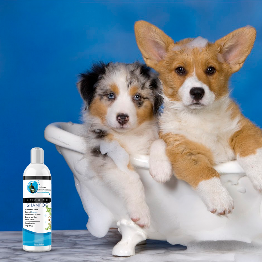 Aloe & Oatmeal Shampoo for Soothing Pet Skin