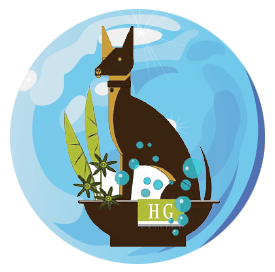 Go Hollywood Grooming