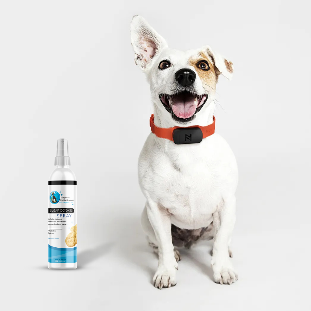 Aromatic Pet Spray with Irresistible Sugar Cookie Scent - 8 Oz