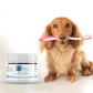 Premium Dental Wipes for Pets