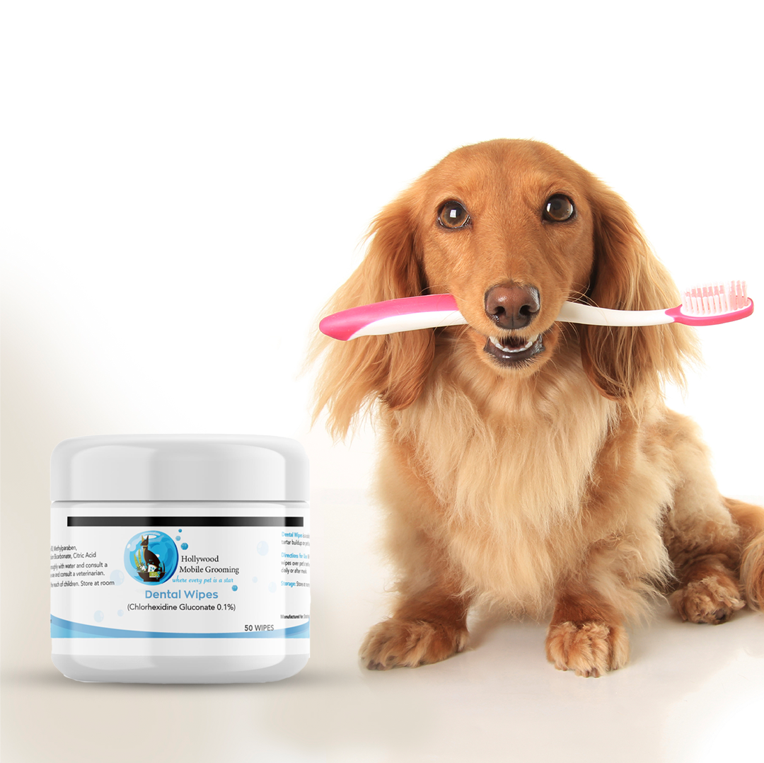 Hollywood Grooming Premium Dental Wipes for Pets