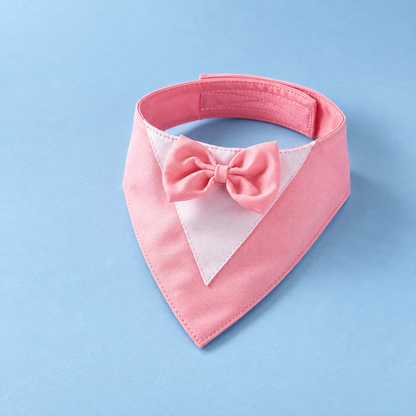 Pet Tuxedo accessory