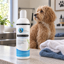 Hollywood Grooming Aloe & Oatmeal Shampoo for Soothing Pet Skin - 16 Oz