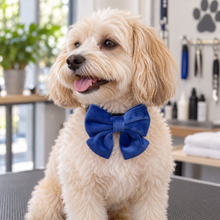 Pet Bowtie Accessories
