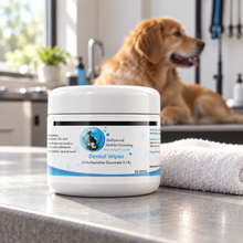 Hollywood Grooming Premium Dental Wipes for Pets