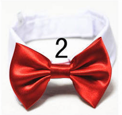 Mini Bow ties for pets