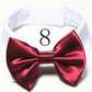 Mini Bow ties for pets