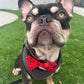 Woof Woof Pet Velvet Bowtie