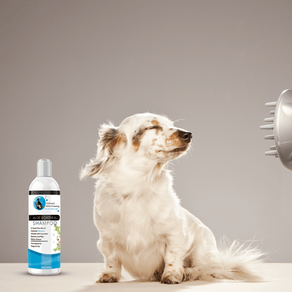 Hollywood Grooming Aloe & Oatmeal Shampoo for Soothing Pet Skin - 16 Oz - Go Hollywood Grooming