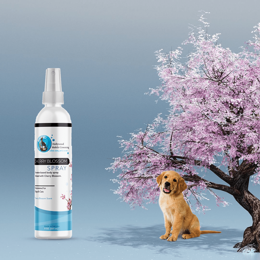 Hollywood Grooming Cherry Blossom Pet Body Spray with Long - lasting Fragrance - Go Hollywood Grooming