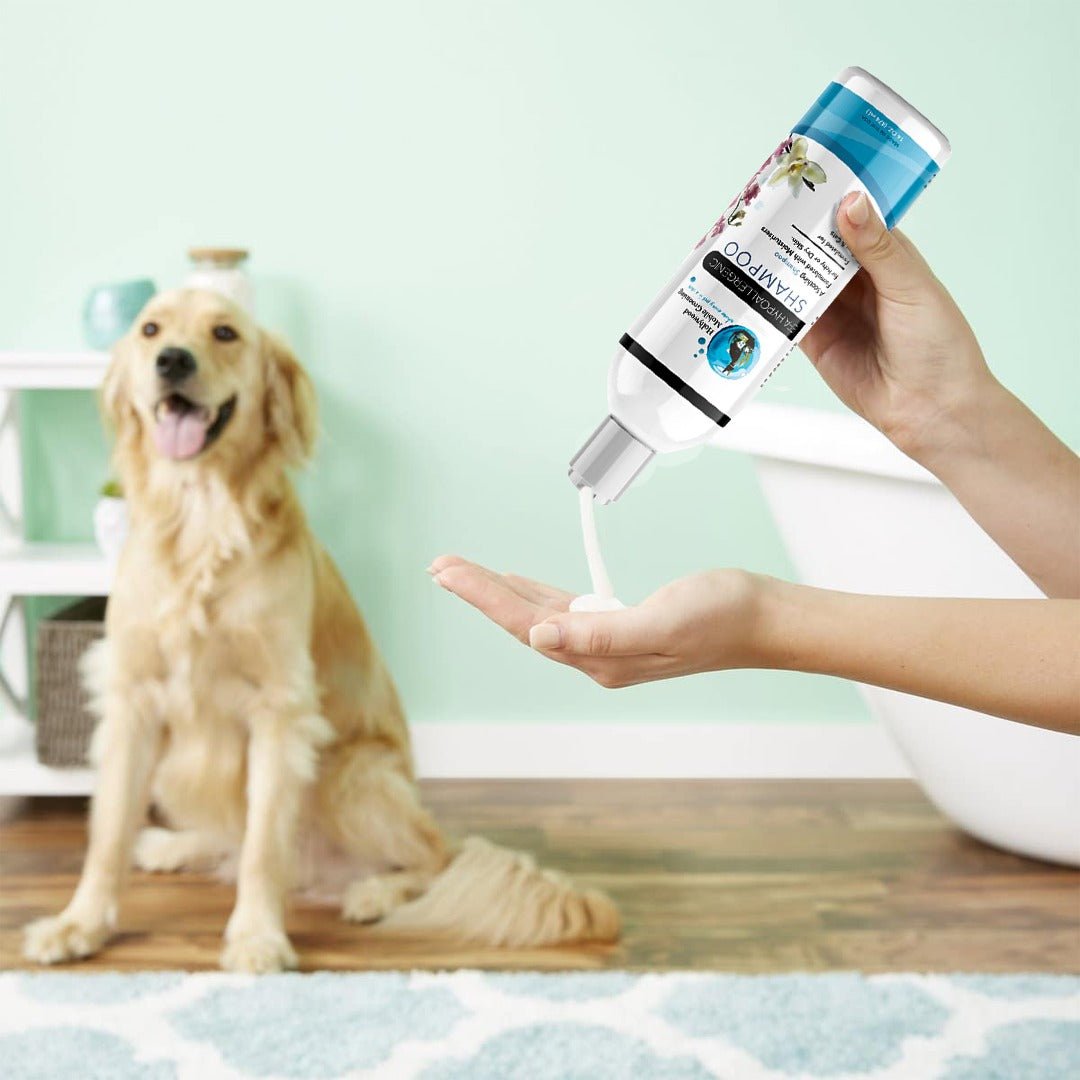 Hollywood Grooming EFA Hypo Allergenic Sweet Pea Vanilla Shampoo 16oz - Go Hollywood Grooming