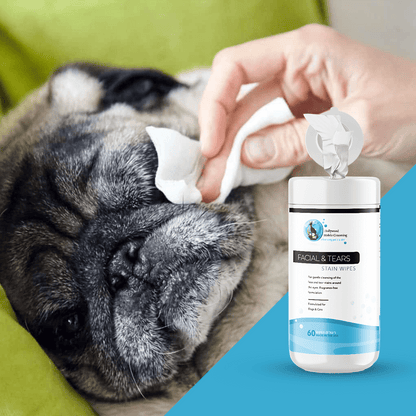 Hollywood Grooming Facial and Tear Stain Wipes for Pets Effective Stain Removal Solution 60 count - Go Hollywood Grooming
