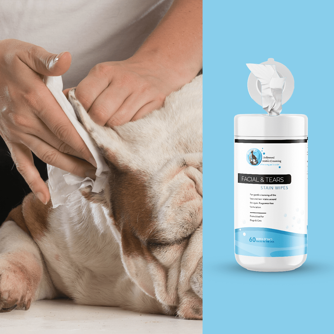 Hollywood Grooming Facial and Tear Stain Wipes for Pets Effective Stain Removal Solution 60 count - Go Hollywood Grooming