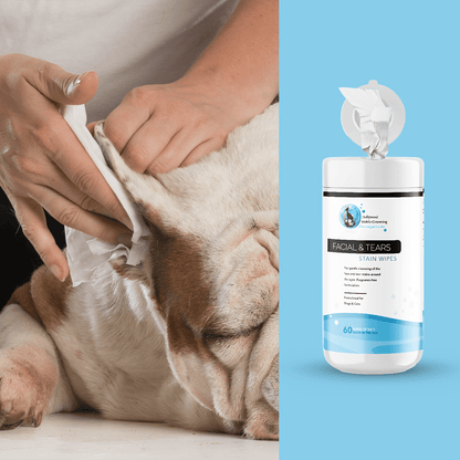 Hollywood Grooming Facial and Tear Stain Wipes for Pets Effective Stain Removal Solution 60 count - Go Hollywood Grooming