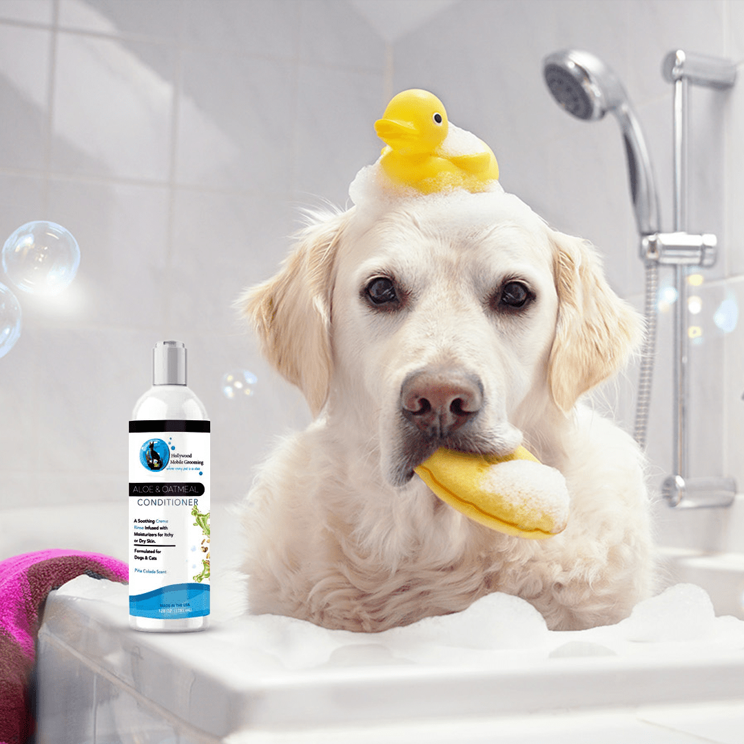 Hollywood Grooming Moisturizing Aloe & Oatmeal Cream Rinse/ Conditioner 16 Oz - Go Hollywood Grooming