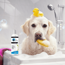 Hollywood Grooming Moisturizing Aloe & Oatmeal Cream Rinse/ Conditioner 16 Oz - Go Hollywood Grooming