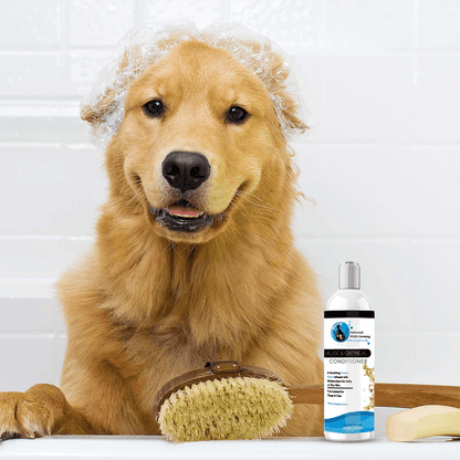 Hollywood Grooming Moisturizing Aloe & Oatmeal Cream Rinse/ Conditioner 16 Oz - Go Hollywood Grooming