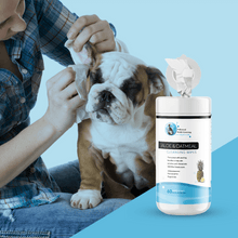 Hollywood Grooming Oatmeal and Aloe Wipes for Pets Gentle and Effective Grooming Solution 60 wipes - Go Hollywood Grooming