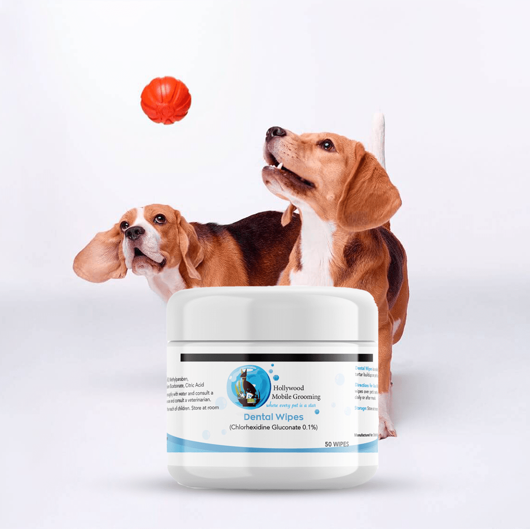 Hollywood Grooming Premium Dental Wipes for Pets - Go Hollywood Grooming