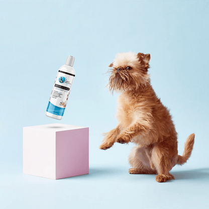 Hollywood Grooming Sweet Pea & Vanilla Shampoo for Cats & Dogs Soap Free - 16Oz - Go Hollywood Grooming