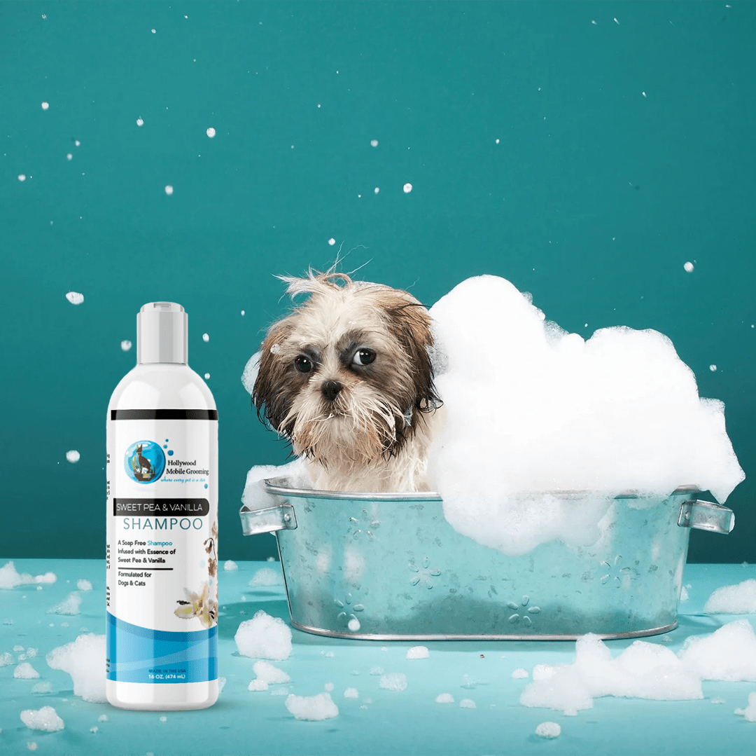 Hollywood Grooming Sweet Pea & Vanilla Shampoo for Cats & Dogs Soap Free - 16Oz - Go Hollywood Grooming