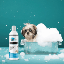 Hollywood Grooming Sweet Pea & Vanilla Shampoo for Cats & Dogs Soap Free - 16Oz - Go Hollywood Grooming