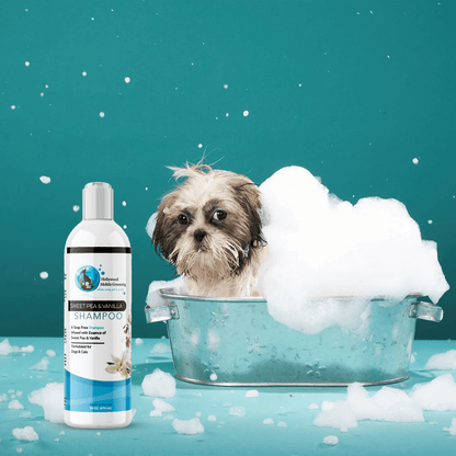 Hollywood Grooming Sweet Pea & Vanilla Shampoo for Cats & Dogs Soap Free - 16Oz - Go Hollywood Grooming