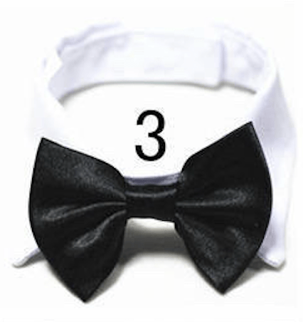 Mini Bow ties for pets - Go Hollywood Grooming