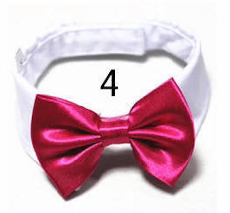 Mini Bow ties for pets - Go Hollywood Grooming