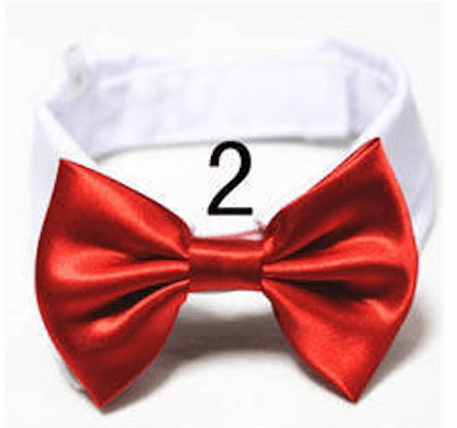 Mini Bow ties for pets - Go Hollywood Grooming