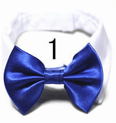 Mini Bow ties for pets - Go Hollywood Grooming
