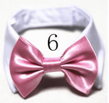 Mini Bow ties for pets - Go Hollywood Grooming