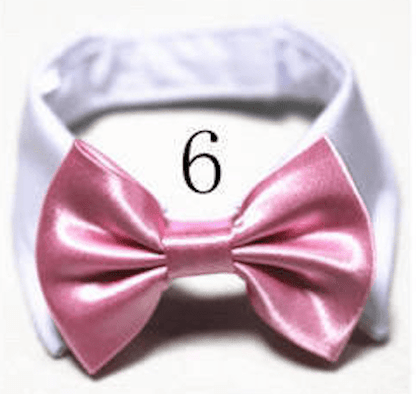 Mini Bow ties for pets - Go Hollywood Grooming