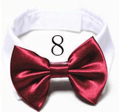 Mini Bow ties for pets - Go Hollywood Grooming