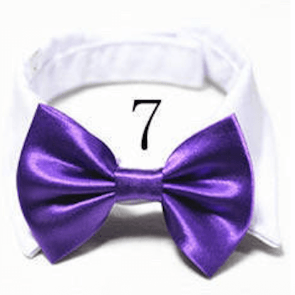 Mini Bow ties for pets - Go Hollywood Grooming