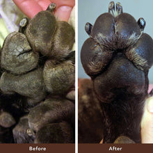 Natural Dog Company Paw Soother Balm 2 Oz - Go Hollywood Grooming