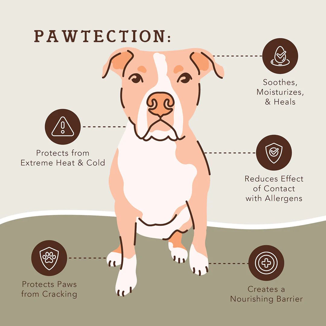 Natural Dog Company Pawtection Balm Travel Stick 0.15 - Go Hollywood Grooming